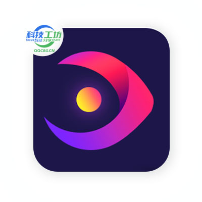 Aiseesoft Video Converter 视频转换大师 v10.9.12